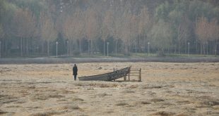 مدیرکل محیط زیست