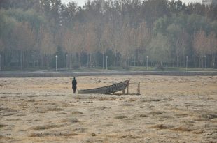 مدیرکل محیط زیست