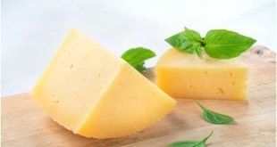 لبنیات