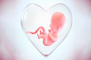 لقاح مصنوعی