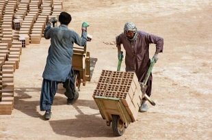 عواقب اشتغال اتباع غیرمجاز