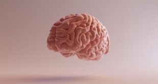 تقویت کننده حافظه