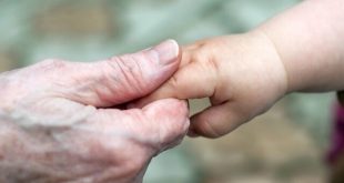 پروتئین آلزایمر