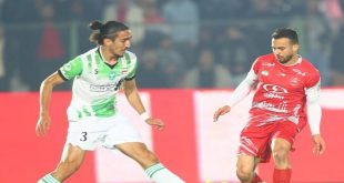 سرمربی سابق: پرسپولیس حالا من را سرمربی کند تا ببیند چه می‌کنم
