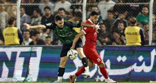 فقط تارتار می‌تواند پرسپولیس را جمع و جور کند | هاشمیان اصلا نمی‌داند سرمربی چه تیمی شده است