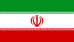 تصاویر لحظه تعظیم این کشتی گیر به پرچم ایران + فیلم